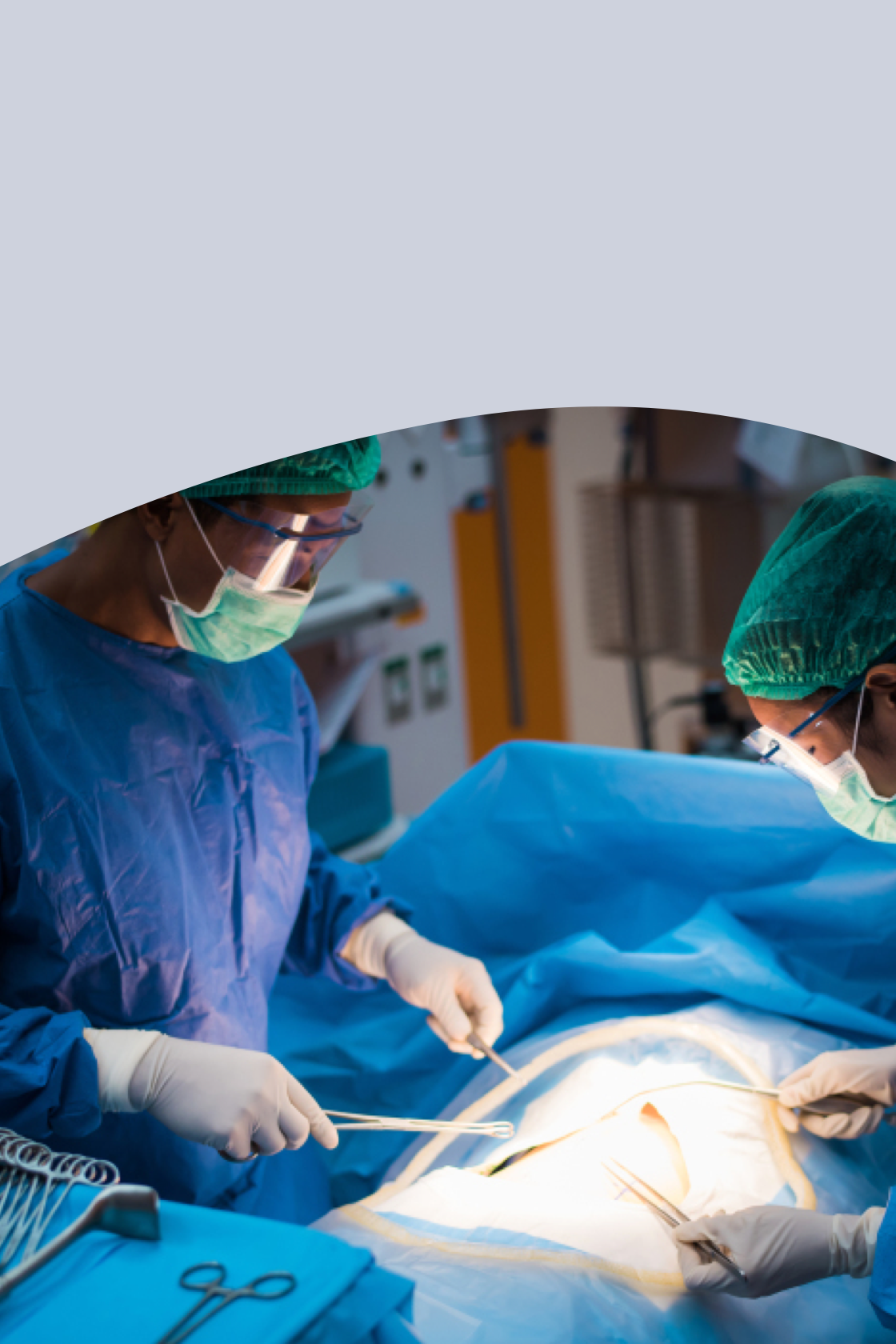 ��������VI-��Ʒ��ֵ������!