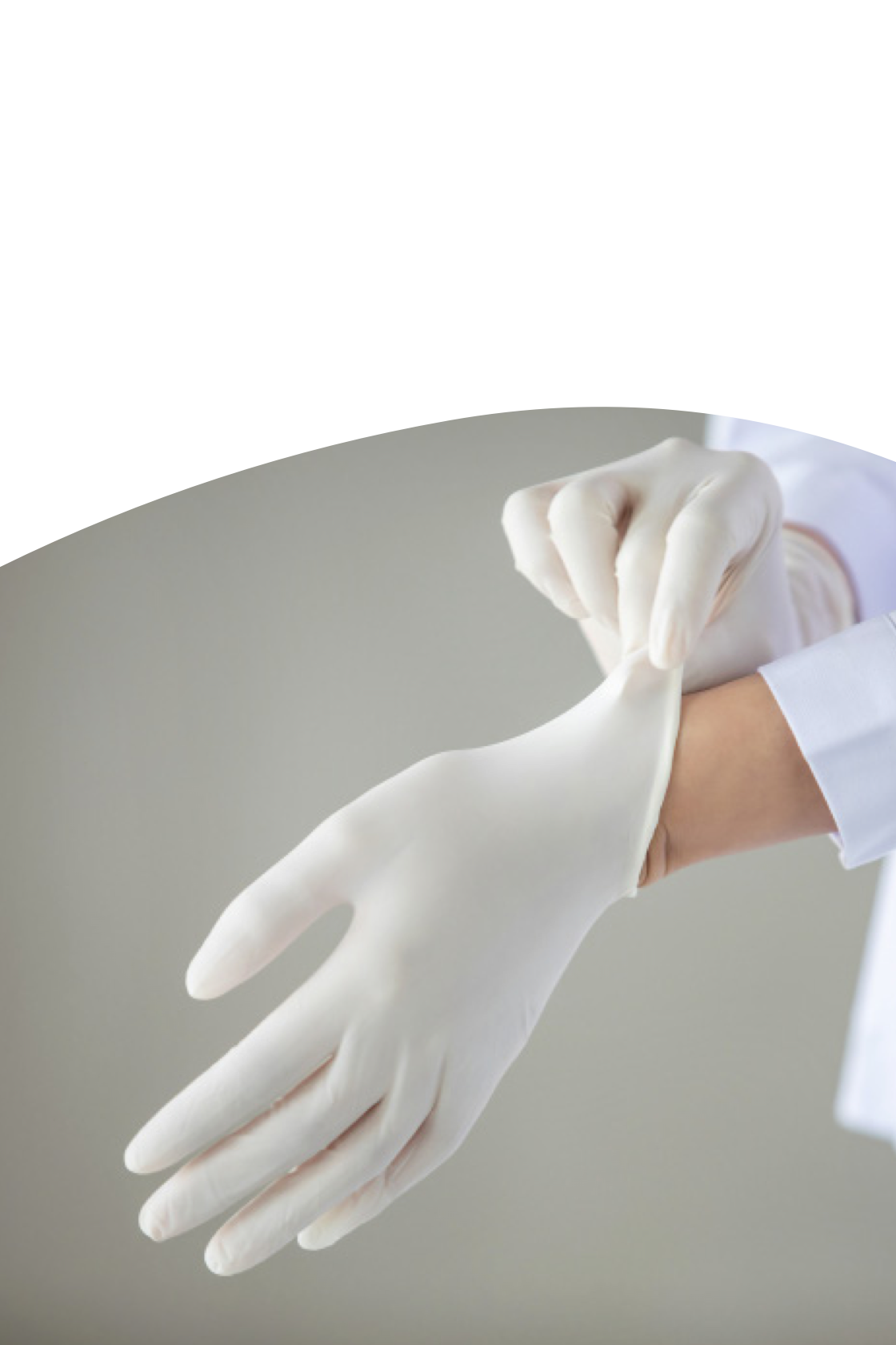 ��������VI-��Ʒ��ֵ������!